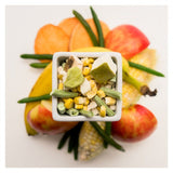 Tweets Treats -Freez-Dried Fruits and Vegetables - 2 oz