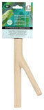 Hagen - Coffeewood (Java) Multiperch - XS - 8"