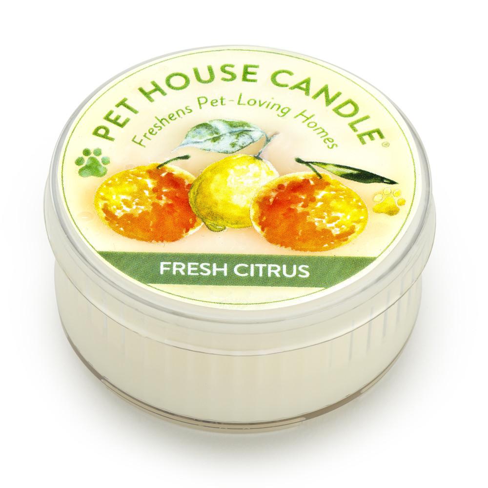 Fresh Citrus Mini Pet House Candle